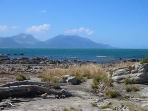 There are so many amazing things to do in Kaikoura, including the Peninsula and the Bay