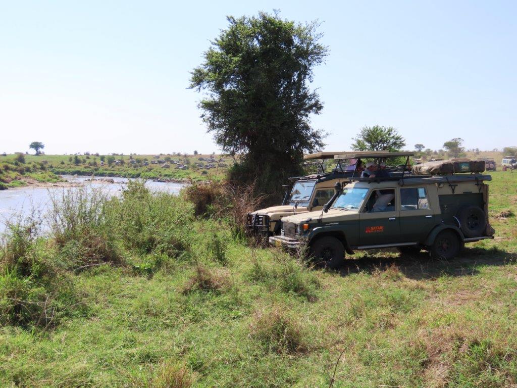 Hundreds of trucks with safari goers line the banks of the river, hoping to see the wildebeests plunge into the river