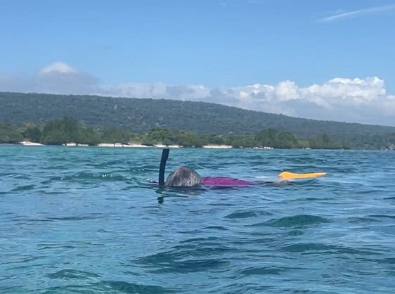 Snorkel tube sticks up out of the water as man swims in blue tropical water.