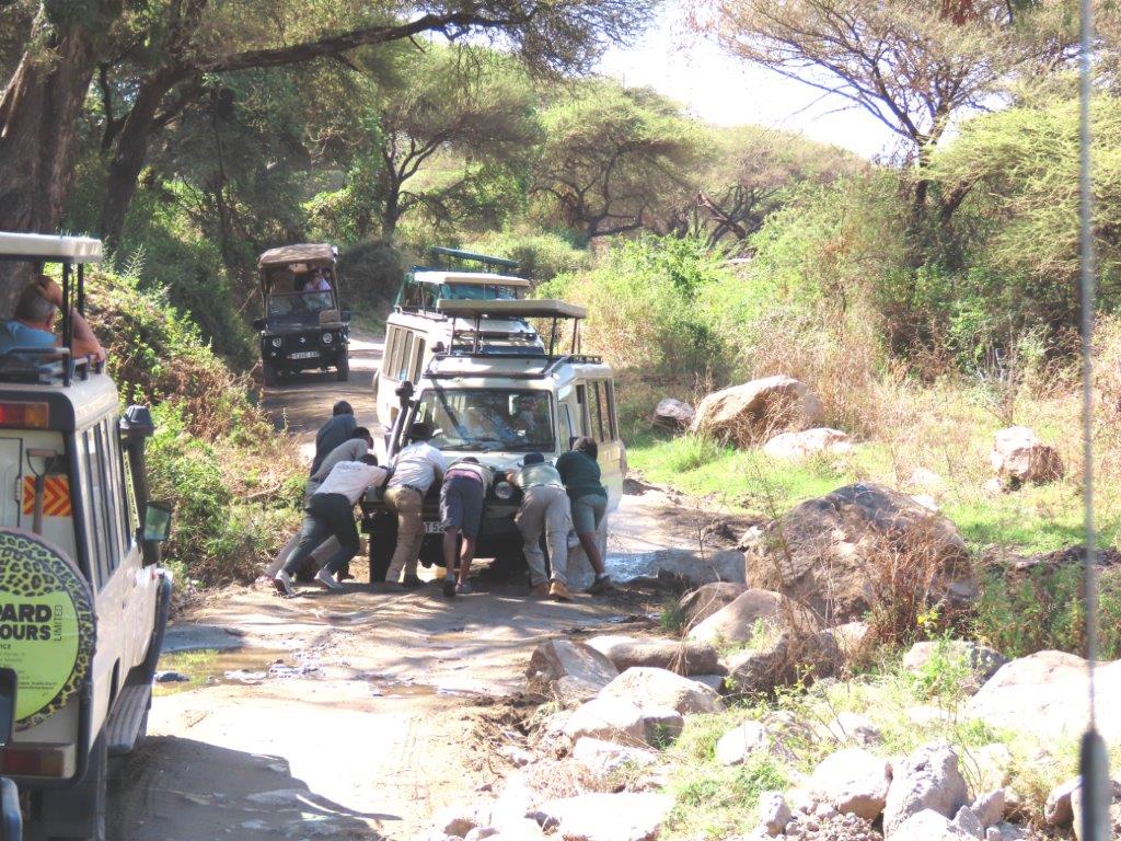 All the other guides helping to push it out of the mud