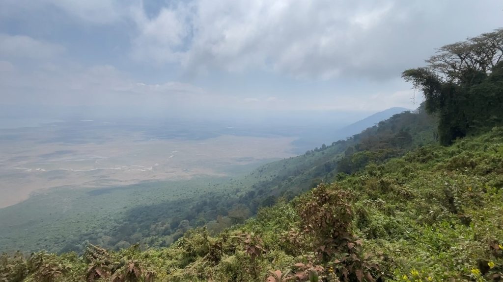 Video panorama of the Ngorongoro Crater