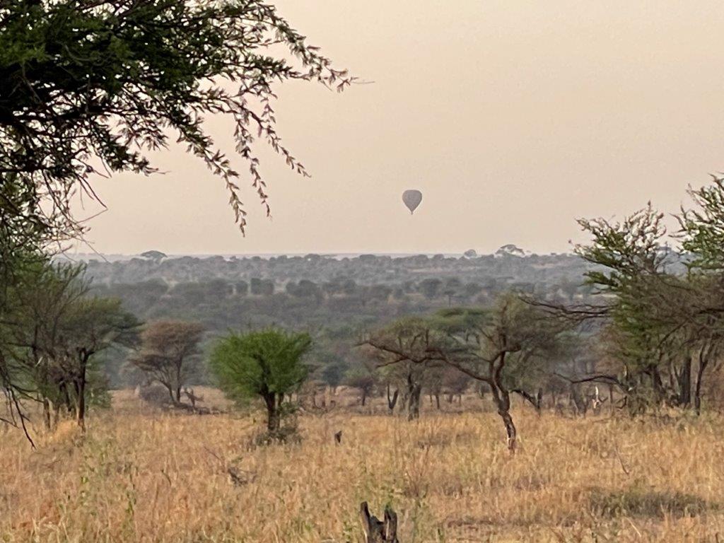 Hot air balloons over the Serengeti