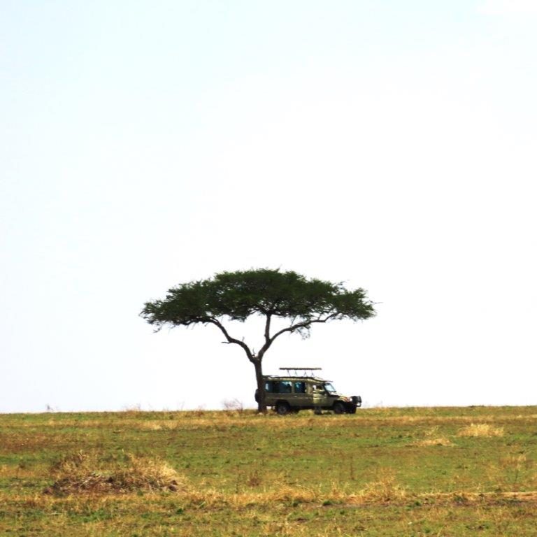 Eating lunch in the Land Cruiser under a tree