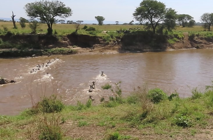 The third group crossing the Maya River, in the opposite direction of the first two groups. Click to watch the video.