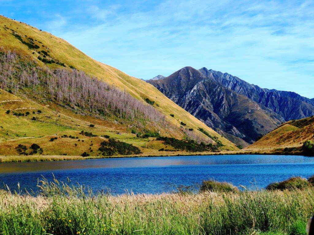 Blue water of Moke Lake framed by grassy hills and rugged mountains under a bright sky near Queenstown.