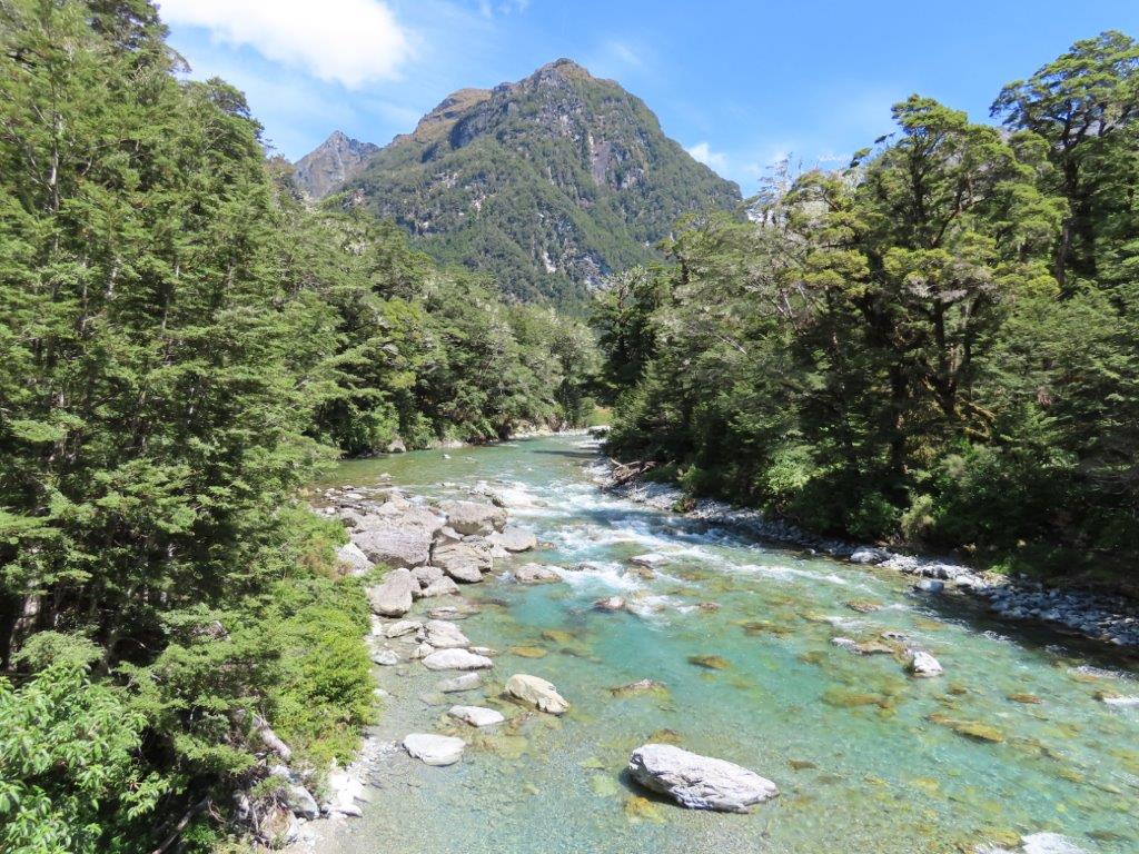 Clear turquoise river flowing through dense forest on the Routeburn Track with steep green mountains rising in the background. This is one of the most scenic hikes in Queenstown for travelers doing a partial Routeburn day hike.