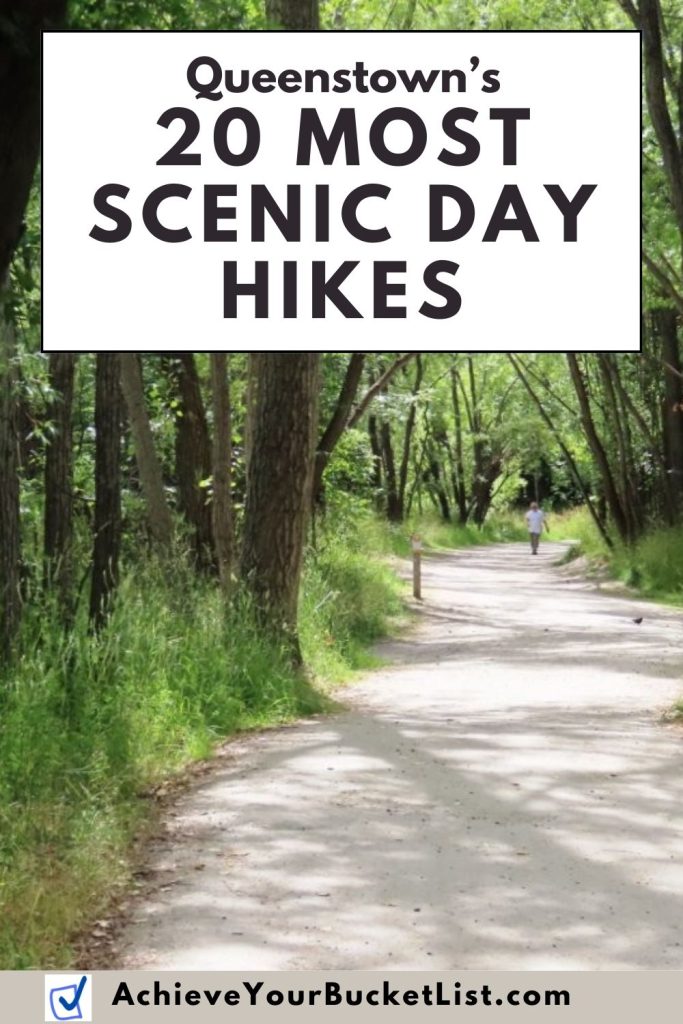 A Pinterest image showing a close up of a hippopotamus with his wrinkles and whiskers in sharp focus. The words on this image say "Queenstown's 20 Most Scenic Day Hikes" and I hope people will pin this blog post to Pinterest.