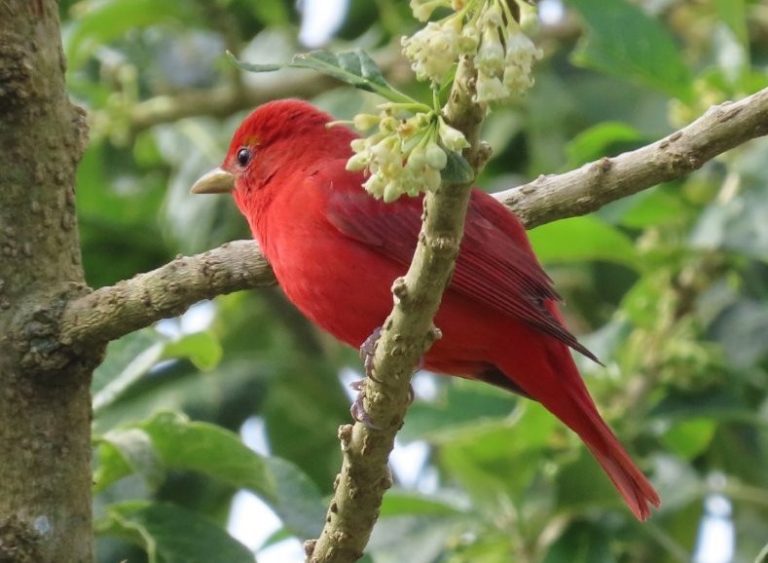 Amazing Costa Rica 7 Day Itinerary for Nature Lovers