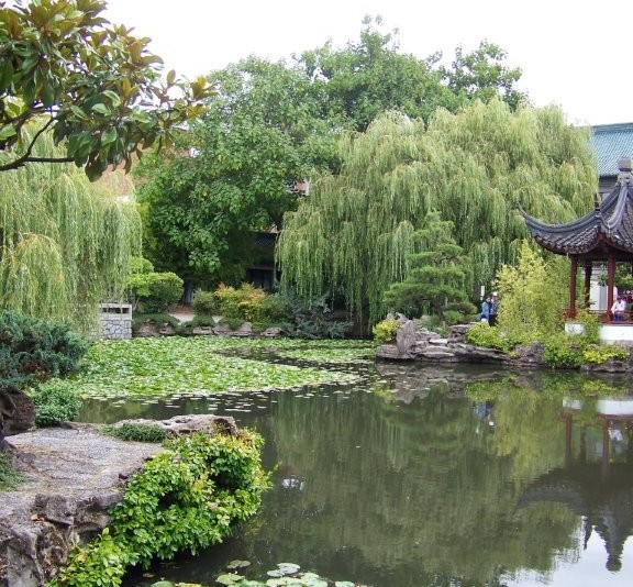 A beautiful oasis of greenery surrounding a small pond of water.