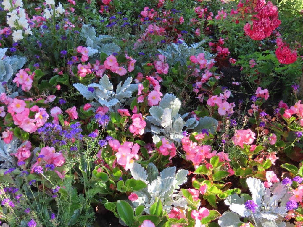 A plethora of colorful flowers fill a garden in shades of pink red, white and purple.