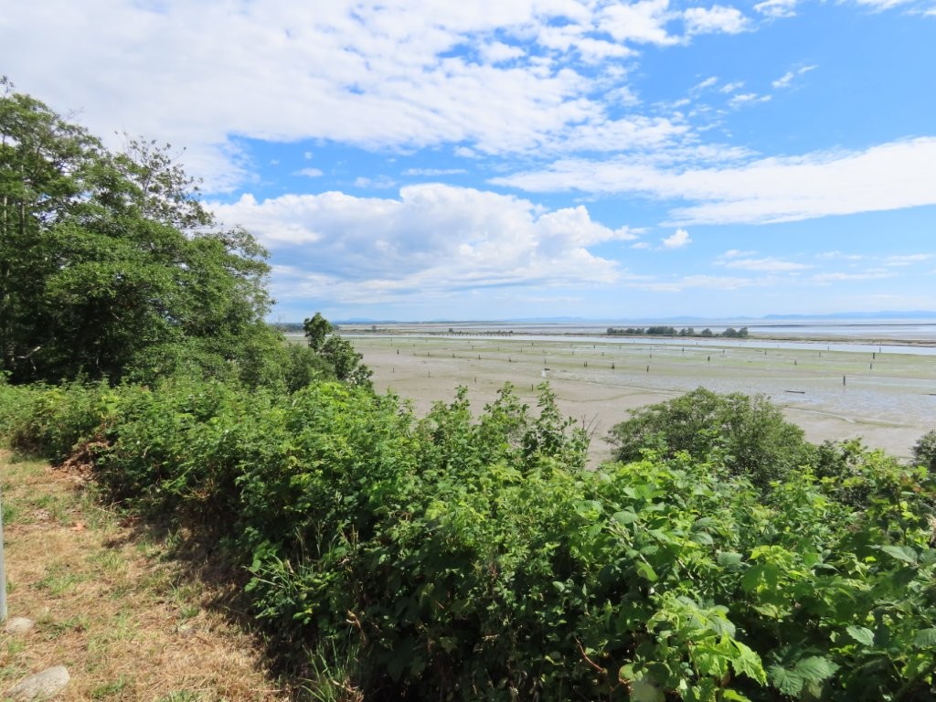 A view out over the Georgia Strait at low tide.