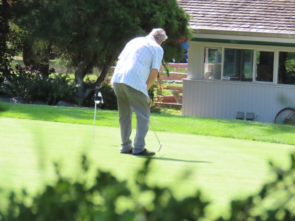 A golfer in a white shirt and brown pants has his back to us as he putts the golf ball.