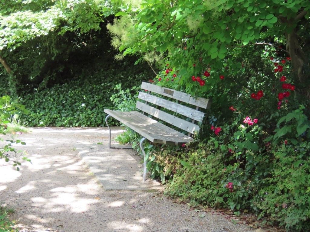 An empty bench in the shade with a tree hanging over it and flowers behind it.