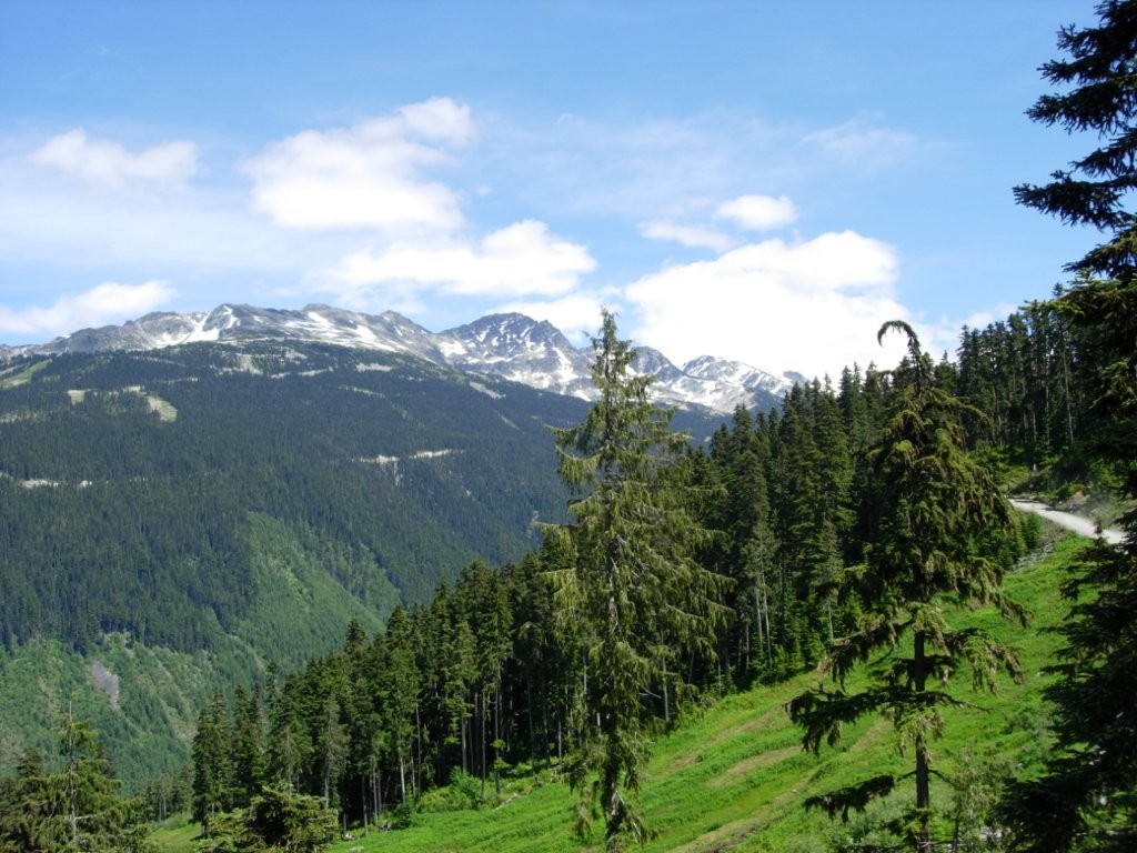 Gorgeous snow-capped mountains and lush pine trees dot the countryside from the top of the mountain in Whistler, BC