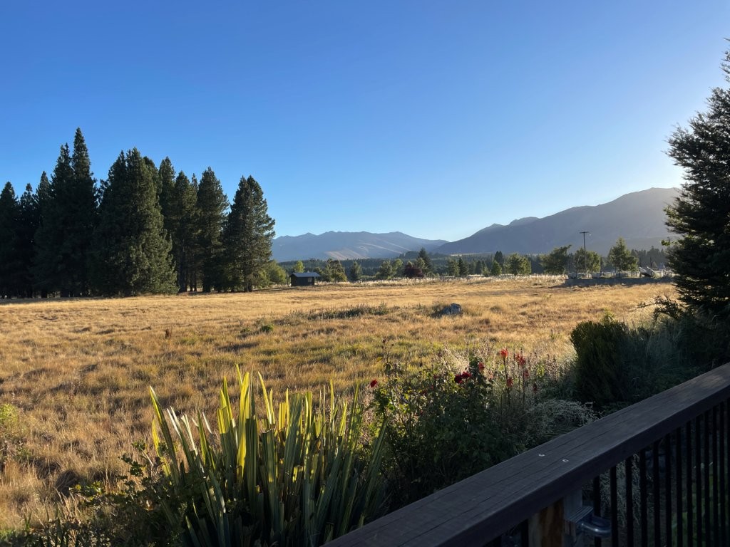 A wide open sunlit field with pine trees and mountains in the distance, plus deep blue sky above