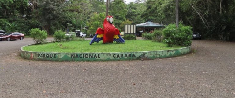 A green circle of grass surrounds a big red yellow and blue scarlet macaw statue in the middle of the parking lot of Parque Nacional Carara.