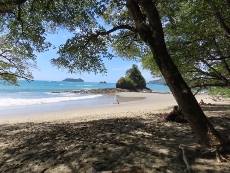 Beautiful tree-lined beach with turquoise water in the distance