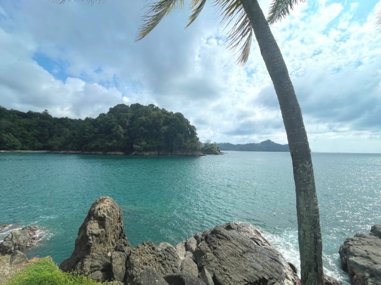 Turquoise water fills the bay with palm trees close by and rocky cliffs in the distance.