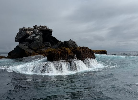 Waves breaking over rocky lava formations during the Isabela Island snorkeling tour.