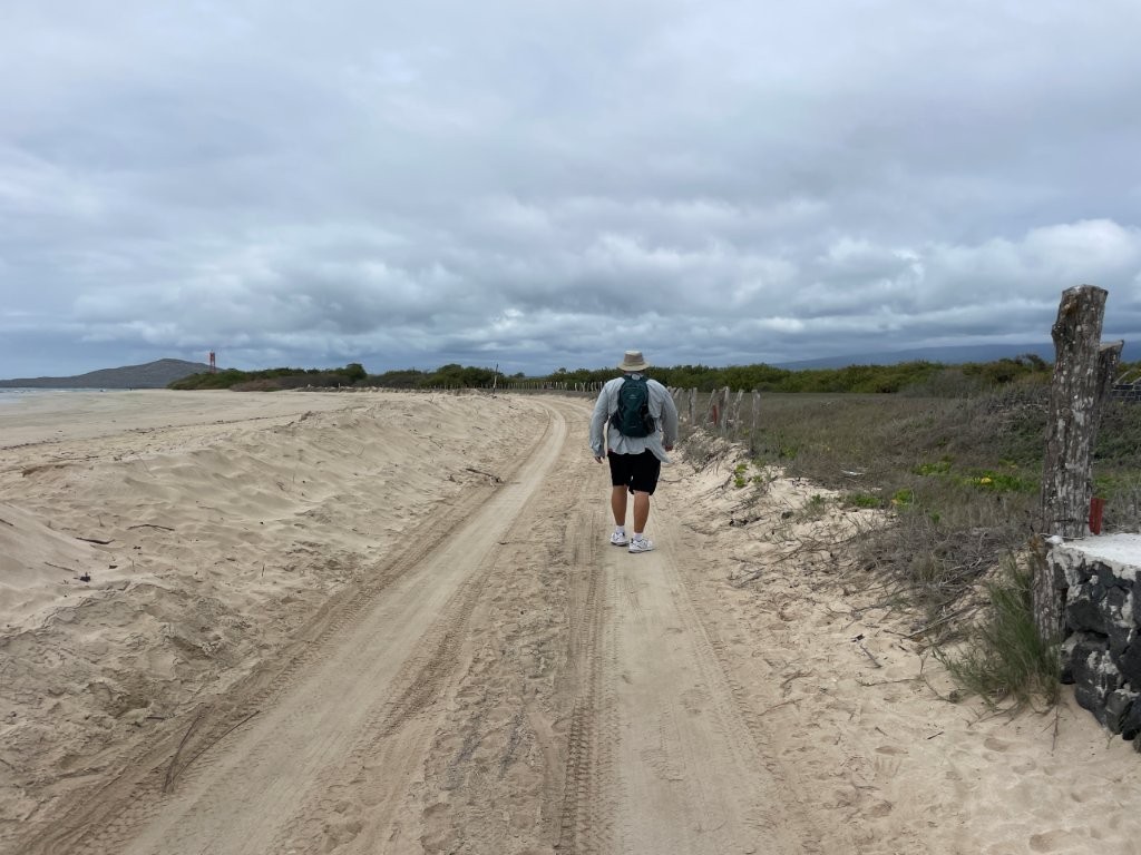 Bill walks along a sandy coastal trail beside the beach and mangroves near Complejo Los Humedales on Isabela Island. Exploring these quiet paths showed us why Isabela feels so much more remote and peaceful
