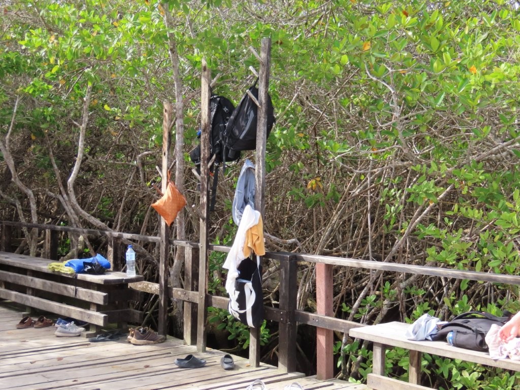 Snorkel gear, shoes, towels, and backpacks hang from wooden posts and benches beside the mangroves. This shows why it’s smart to pack light and avoid bringing valuables when snorkeling independently.