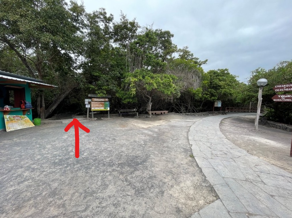 A red arrow points toward the sign and entrance for the Concha de Perla boardwalk near the tour pier on Isabela Island. Finding this trailhead is the trickiest part the first time.