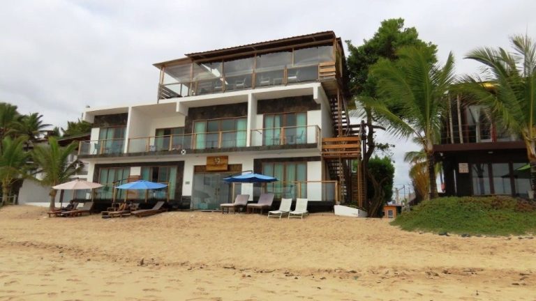 Cormorant Beach House faces the sand with lounge chairs, blue umbrellas, palm trees, and glass-front rooms overlooking the beach. Easy beach access is an important factor in choosing where to stay in Isabela Galapagos