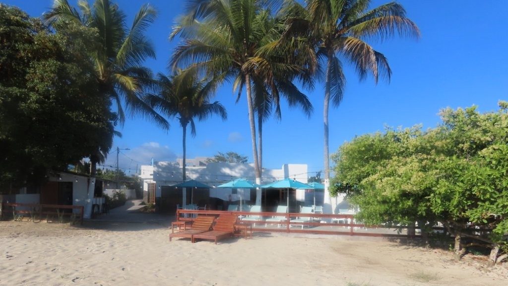 Palm trees, blue umbrellas, benches, and sandy paths create a relaxed beachfront setting at Hotel Isamar. Being close to the beach became one of the biggest things I looked for when choosing where to stay in Isabela Galapagos.