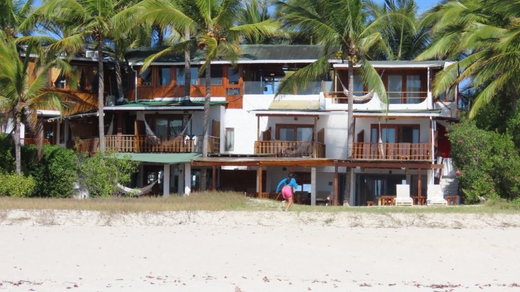 A tropical beachfront property lined with tall palms and wooden balconies stretches across the sand. La Casa de Marita is one of the strongest options for travelers who want a more scenic beachfront stay on Isabela Island.