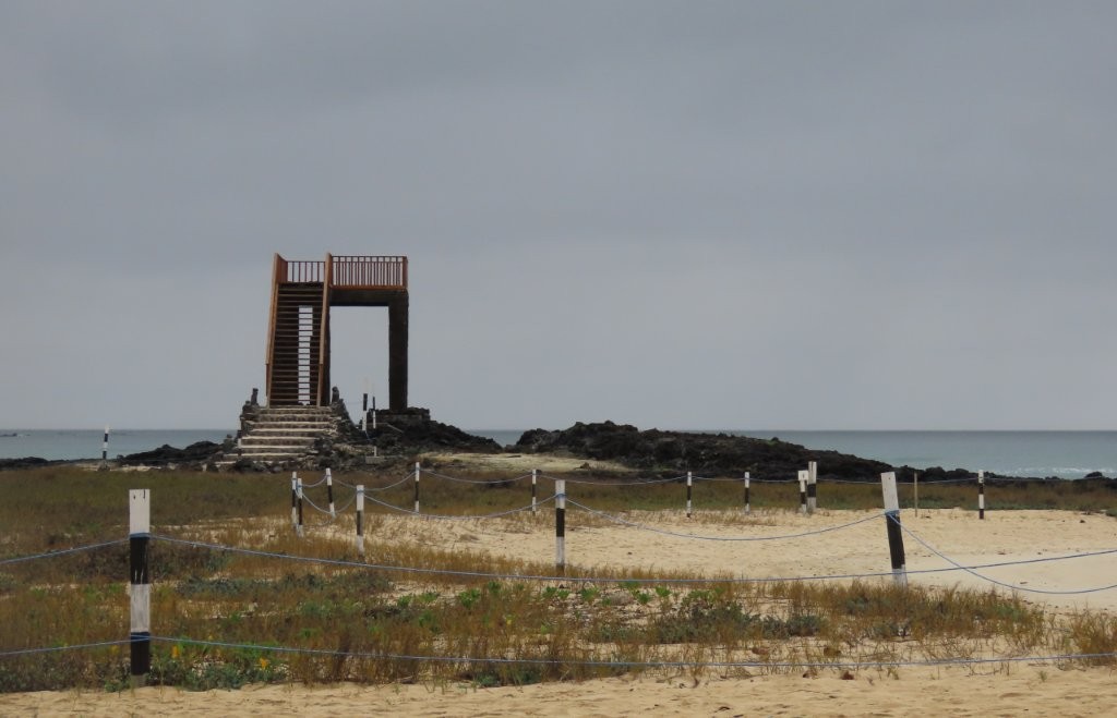 A simple wooden observation tower stands on a sandy, open landscape with low vegetation and ocean views in the distance. This highlights a quick and free viewpoint stop near town, one of the easy things to do on Isabela Island.