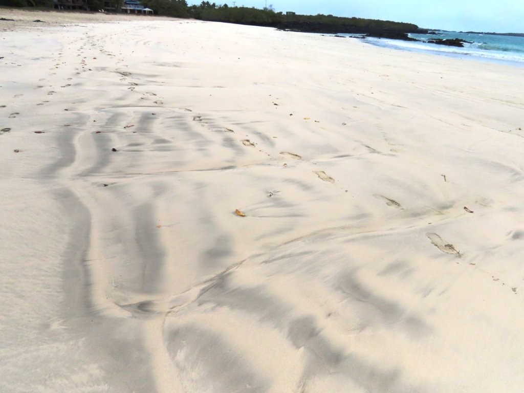 Soft white sand stretches along Playa Isabela with footprints, wind-shaped ripples, and dark lava rock near the shoreline.
