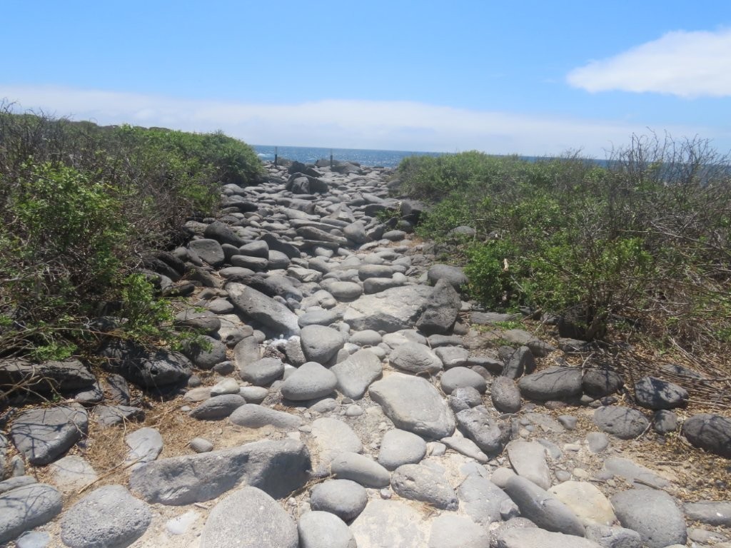 A trail full of gray rocks leads into the distance towards the top of the cliff with the Pacific Ocean in the distance. Green scrub vegetation lines the path.