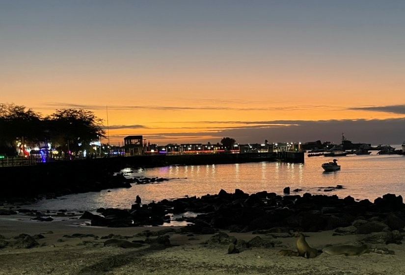 Orange sunset light glows over San Cristobal’s harbor, with boats floating offshore and sea lions resting on the sandy beach. Slower free evenings like this helped make our Galapagos trip feel rich without adding extra cost.