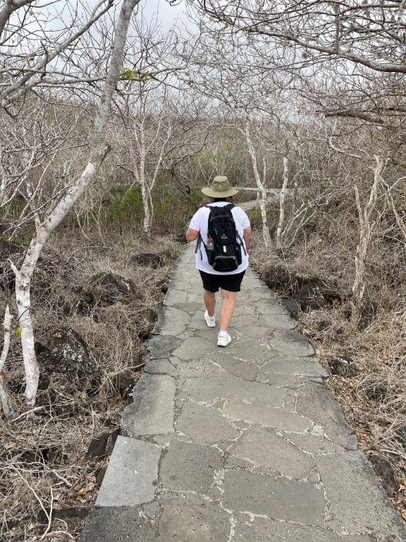 Walking the trail from Las Tijeretas to Playa Carola passes through dry forest landscapes on San Cristóbal. This easy scenic hike is one of the island’s best free outdoor adventures.