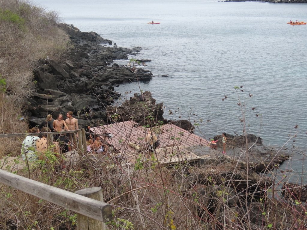 Snorkelers gather on the rocky entry platform at Las Tijeretas, one of the most popular free shore snorkeling spots on San Cristóbal Island. The protected cove is known for clear water, sea lions, tropical fish, and easy DIY snorkeling from town.