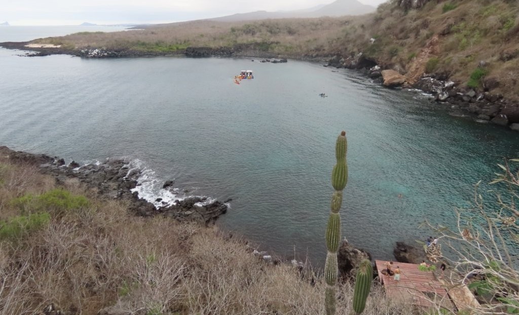 Snorkelers gather on the rocky entry platform at Las Tijeretas, one of the most popular free things to do in San Cristobal Galapagos. The protected cove is known for clear water, sea lions, tropical fish, and easy DIY snorkeling from town.