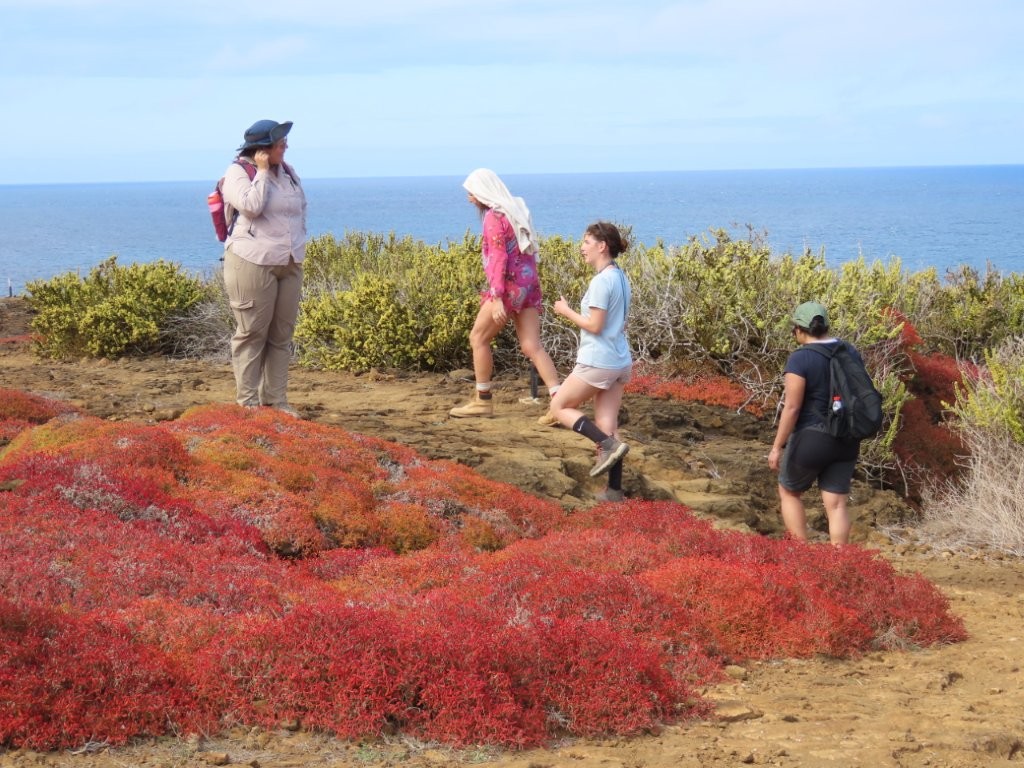Our naturalist guide leading hikers across Punta Pitt’s dramatic volcanic landscape.