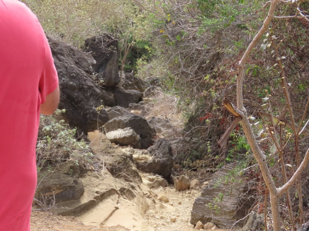 Large craggy rocks are strewn across the climbing path on the way to the top of Punta Pitt. 