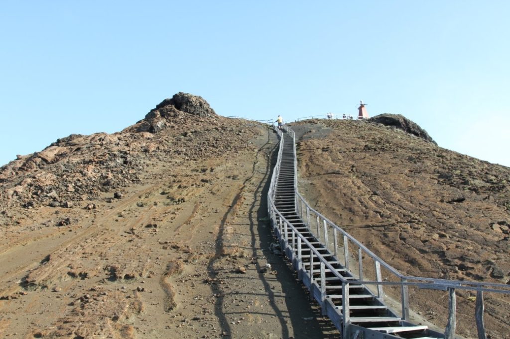 A long wooden staircase climbs straight up a dry volcanic hill toward a small lighthouse and viewpoint under a clear blue sky. The stairs are a major part of the Bartolomé Island tour and make the viewpoint feel more like a real climb than a casual walk.