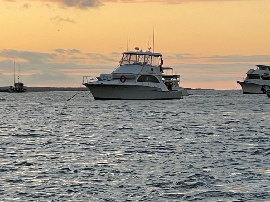 A comfortable white day yacht glows in golden light on the water during the Bartolomé Island tour. Boat comfort mattered on this long Galapagos day trip because so much of the tour involved travel time.