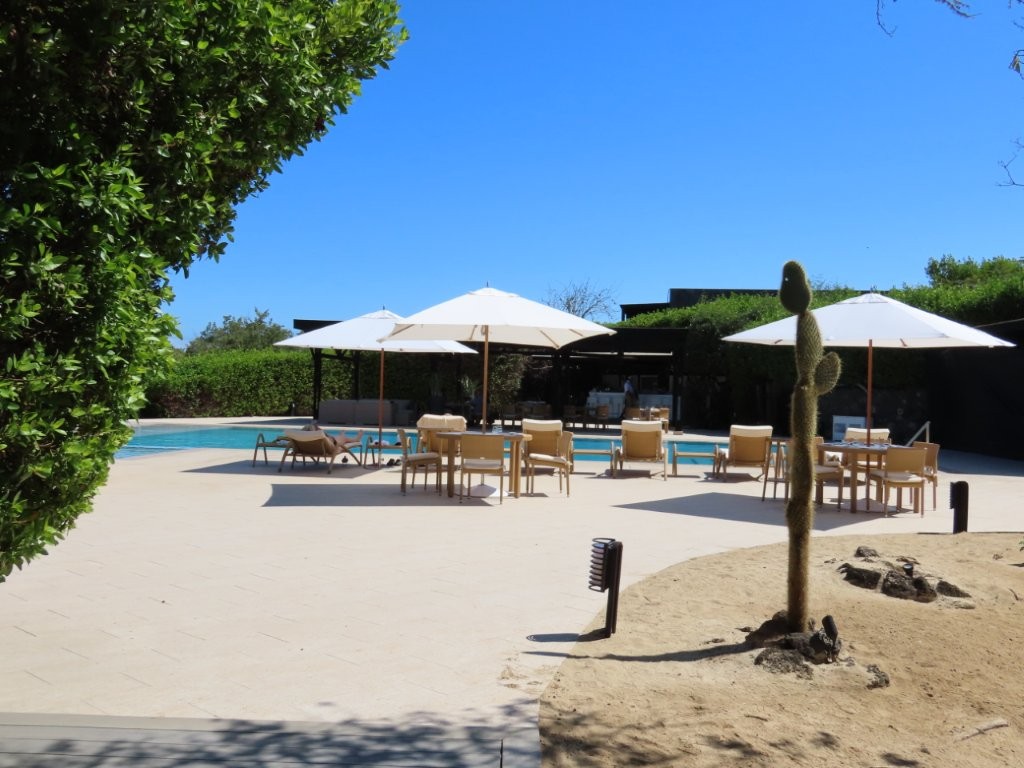 Lounge chairs and umbrellas surround a large swimming pool bordered by native landscaping and open deck space. Finch Bay Galapagos Hotel stands out as one of the most resort-style stays in the Galapagos Islands.