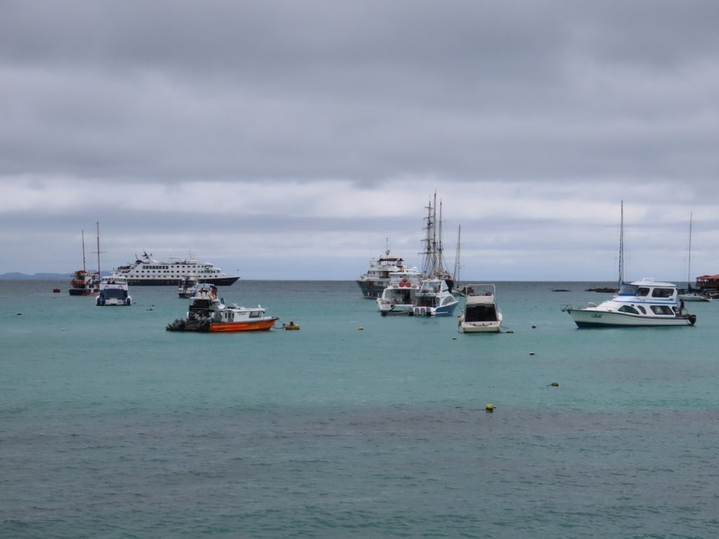 Small boats and larger tour vessels float in calm turquoise water beneath a cloudy gray sky in the Puerto Ayora harbor. The harbor views along the waterfront were one of our favorite free things to do on Santa Cruz Island because there was always wildlife, fishing activity, or boats to watch.