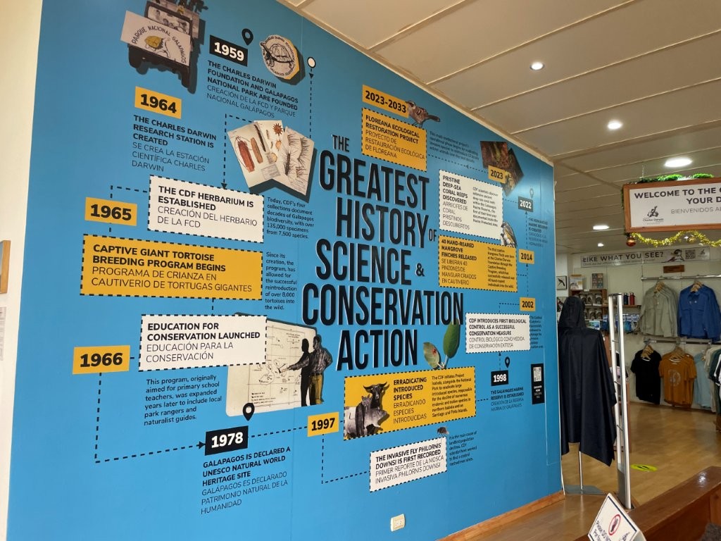 A bright blue exhibit wall inside the visitor center displays a timeline about conservation history and scientific research in the Galapagos Islands. The free exhibits helped us better understand the environmental importance of the Galapagos before exploring more of Santa Cruz Island.