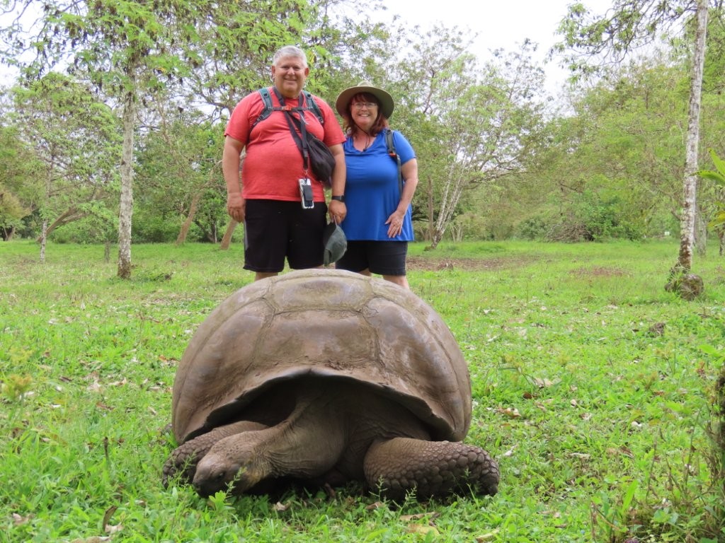 A giant tortoise rests in a grassy field while Bill and Kari stand smiling behind it among scattered trees in the Santa Cruz highlands. Seeing giant tortoises in their natural habitat was one of the most unforgettable wildlife experiences of our Galapagos trip.