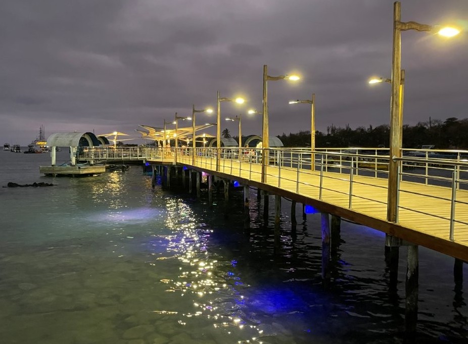 The ferry pier glows with warm lights at dusk while reflections shimmer across the dark water below. At night, the illuminated pier became one of the best places to spot baby sharks swimming beneath the water.