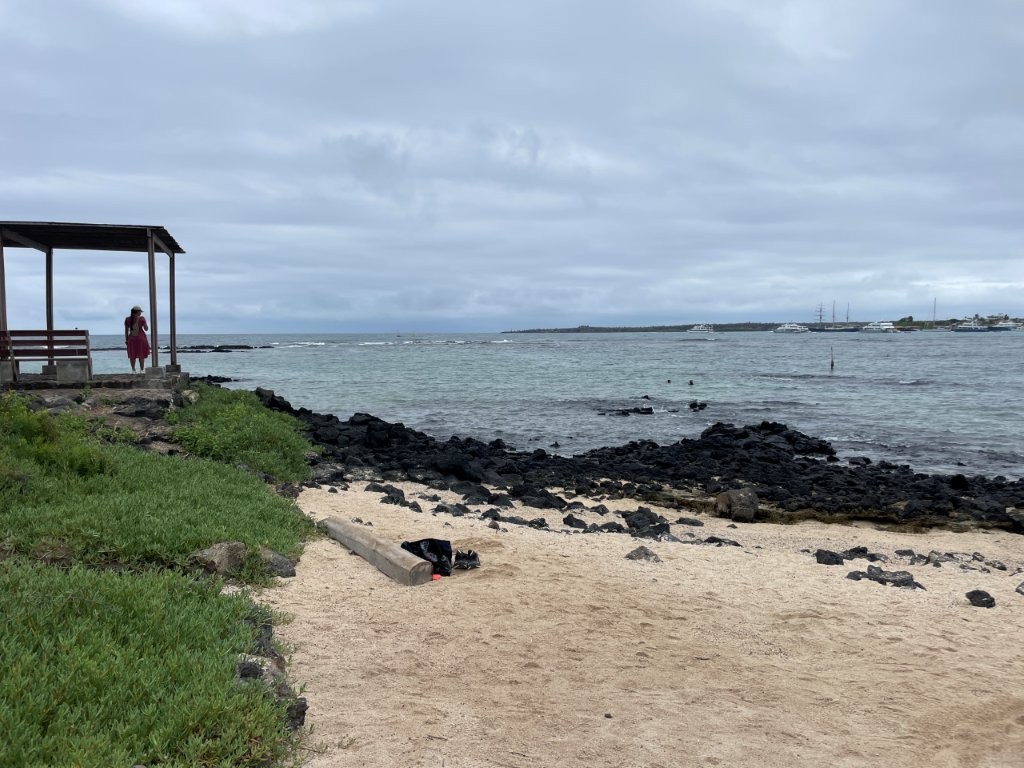 A small sandy beach with black volcanic rocks stretches along calm water beneath cloudy skies near Puerto Ayora. Playa de la Estación was a peaceful stop near the Darwin Center where we watched birds and snorkelers along the shoreline.