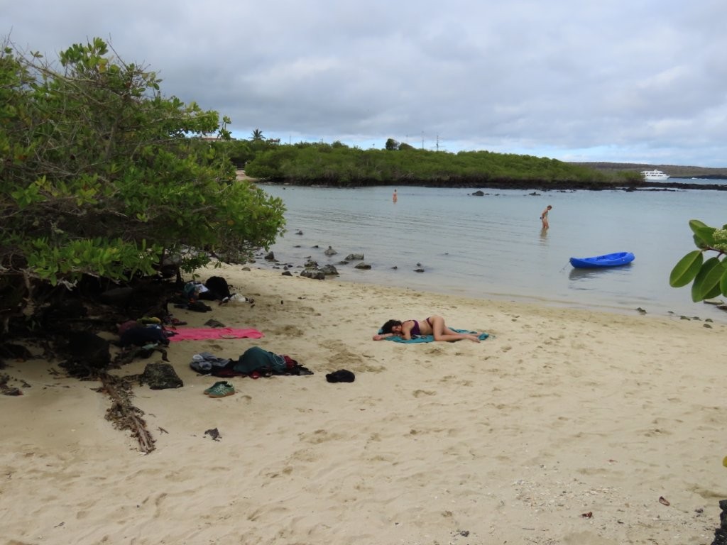Visitors relax on soft sand and wade through shallow calm water beside mangroves at Playa Los Alemanes. Playa Los Alemanes offered a relaxing break after snorkeling and hiking around Santa Cruz Island.