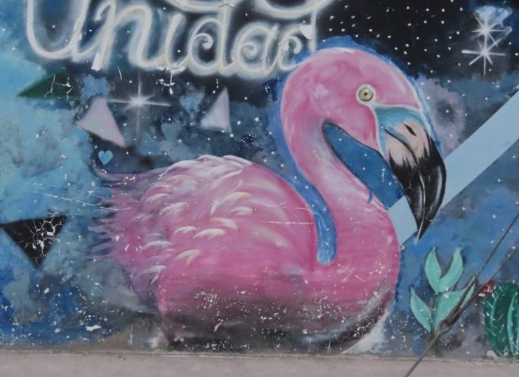 A bright pink flamingo mural surrounded by stars and cactus artwork covers a painted wall in Puerto Ayora. The colorful street murals around town made simple walks through Puerto Ayora feel more vibrant and memorable.