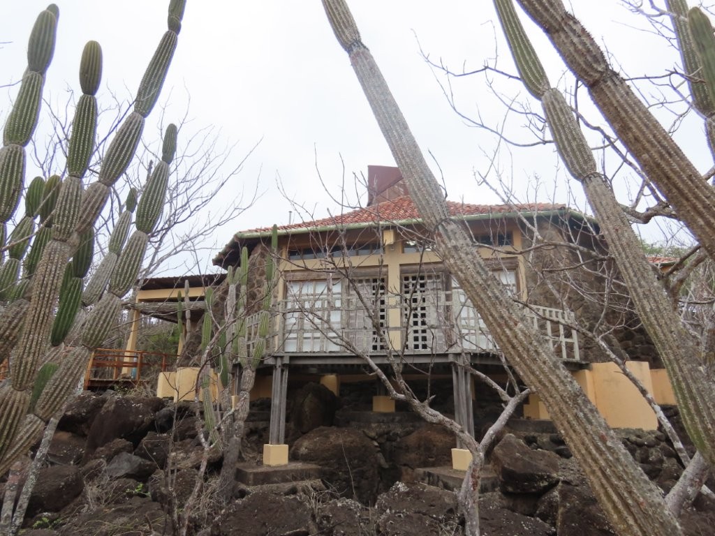 The San Cristóbal Gianni Arismendy Environmental Interpretation Center sits among towering cacti and volcanic rock along the trail near Puerto Baquerizo Moreno. This free cultural stop is one of the best free things to do in San Cristóbal Galapagos for learning about history, ecology, and conservation.