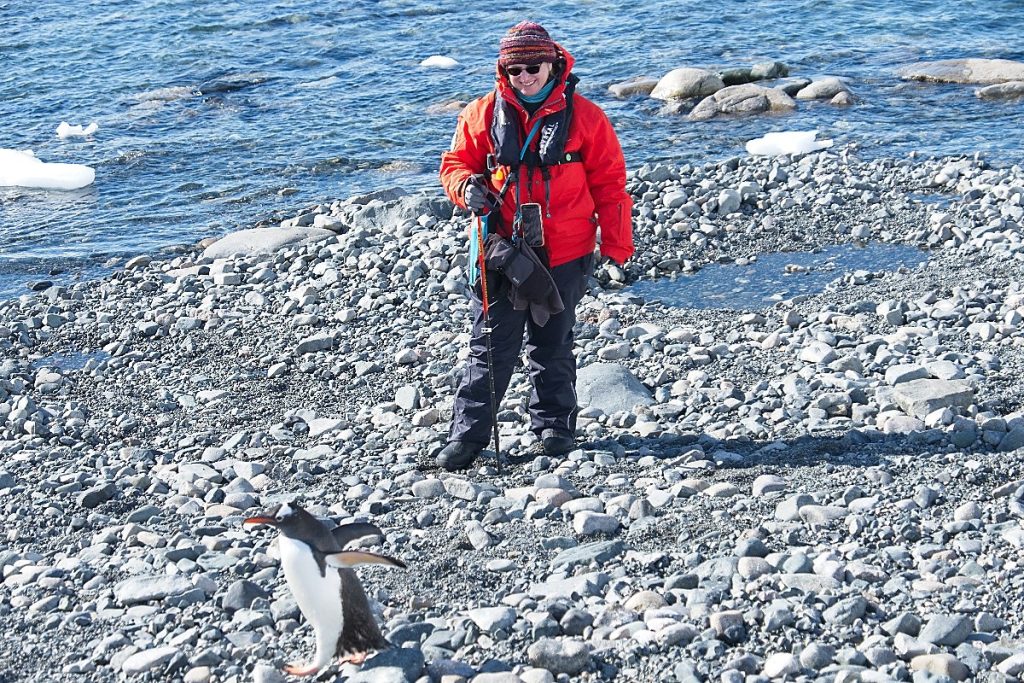 A woman in a bright red coat stands on a rocky coastline near a Gentoo Penguin.